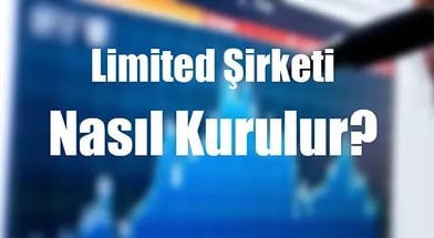 Limited irketi Kuruluu